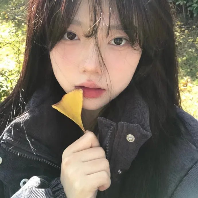 黄玫瑰